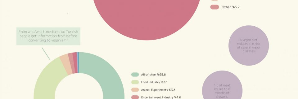 Infographic